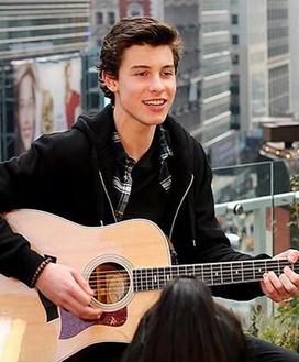 Shawn Mendes at Allstate Arena